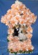 Thumbs/tn_dam_gm_mar26_5_07 - Copie.jpg